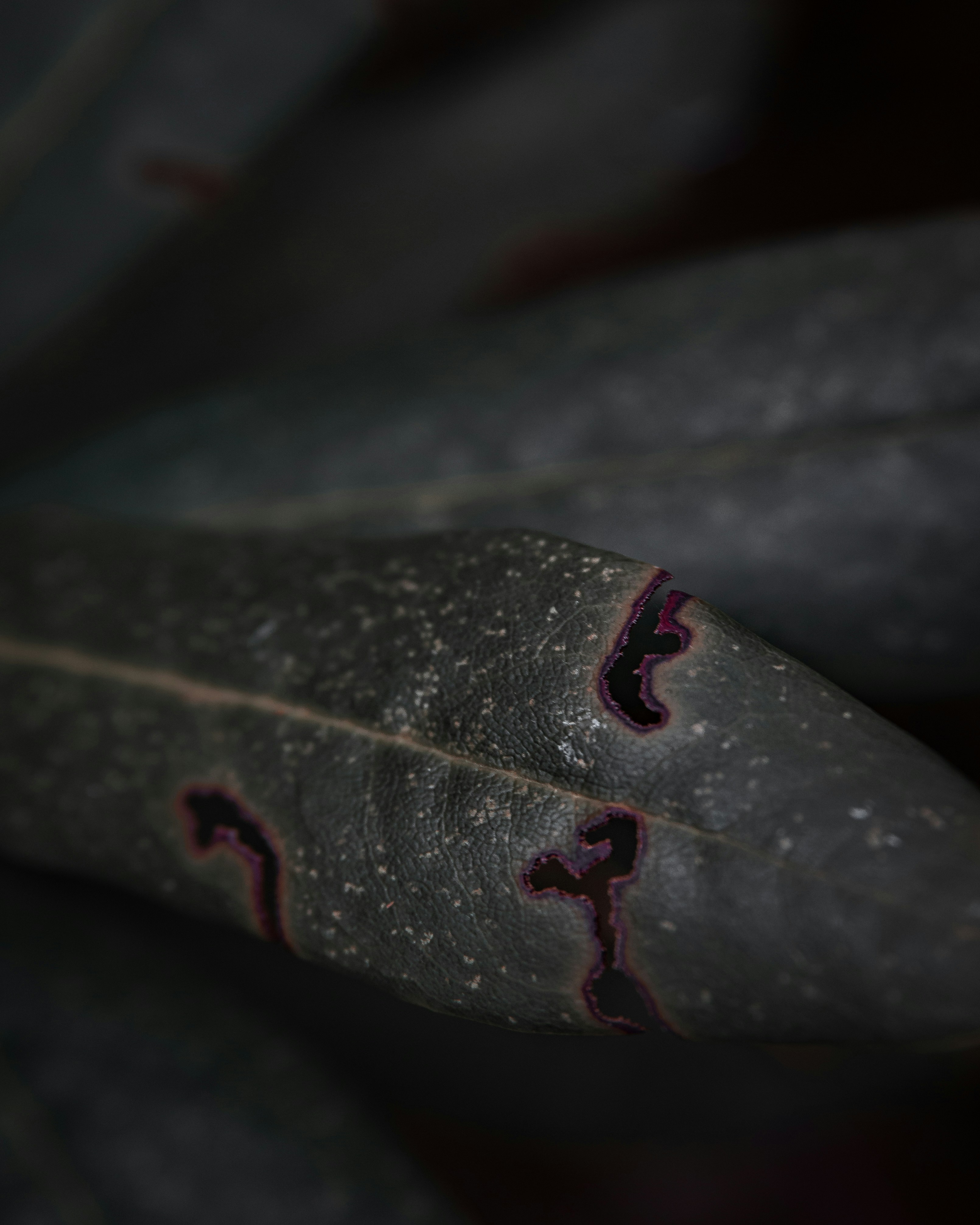 Photo by kirillpershin