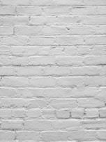 A textured white brick wall with visible mortar lines and uneven surfaces, suggesting an aged or rustic appearance.