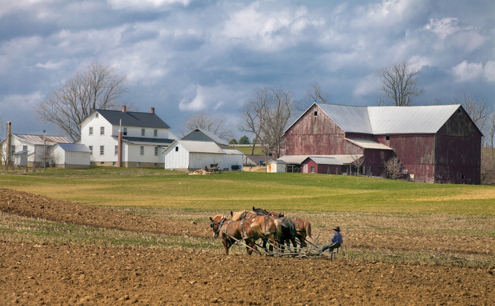 man farming with four horses near barn during daytime