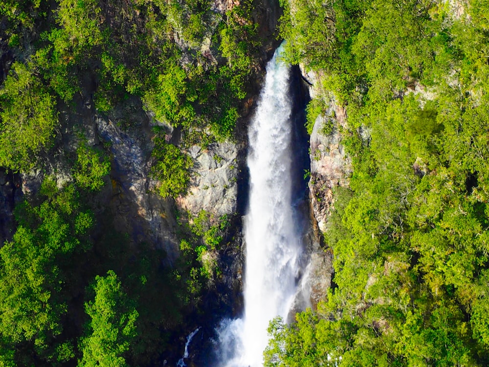 waterfalls cascading down cliff lined with trees