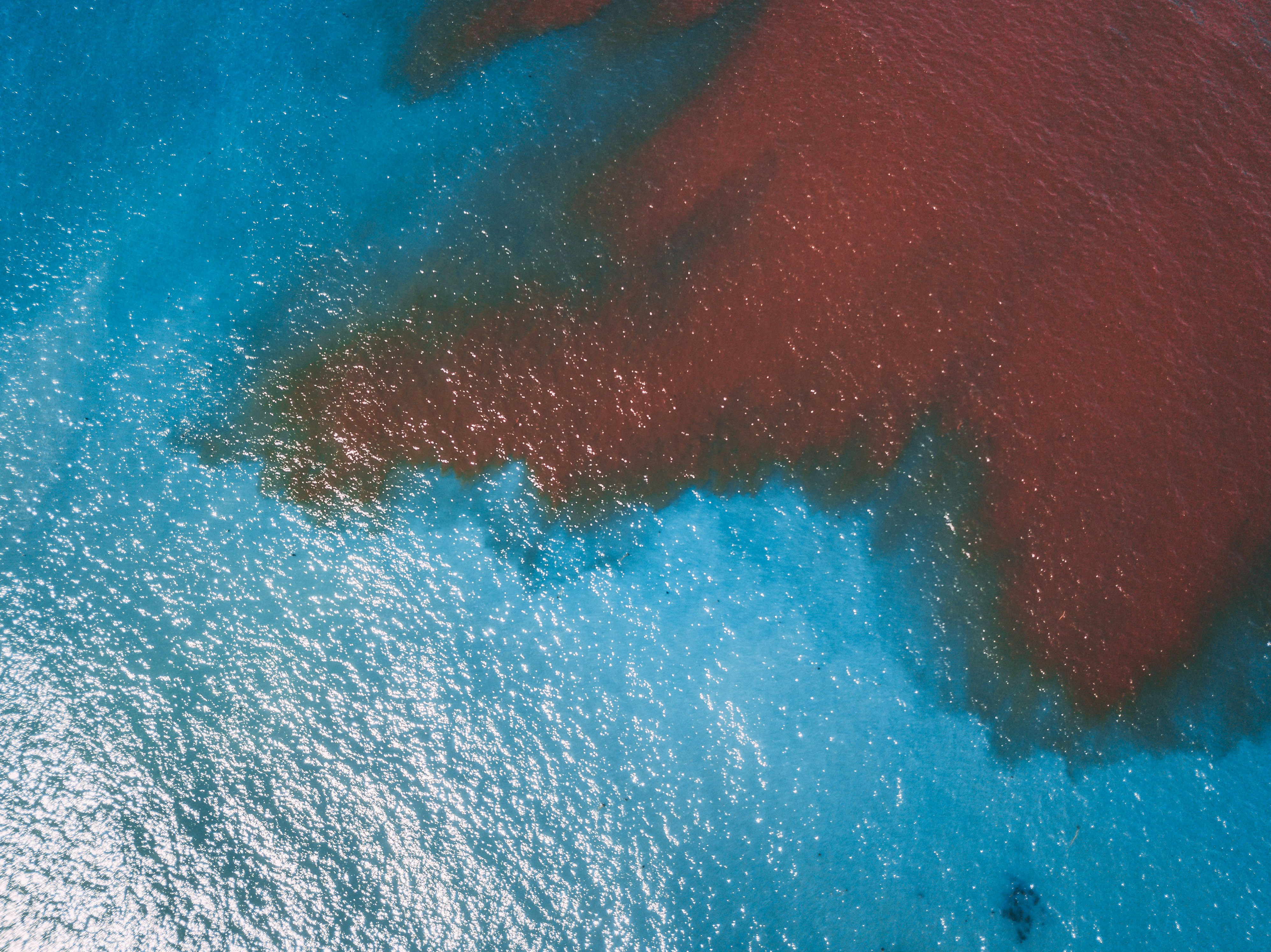 Photo by clayton_cardinalli