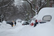 vehicles covered in snow