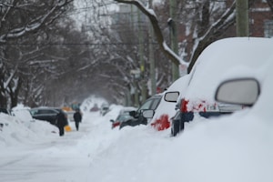vehicles covered in snow