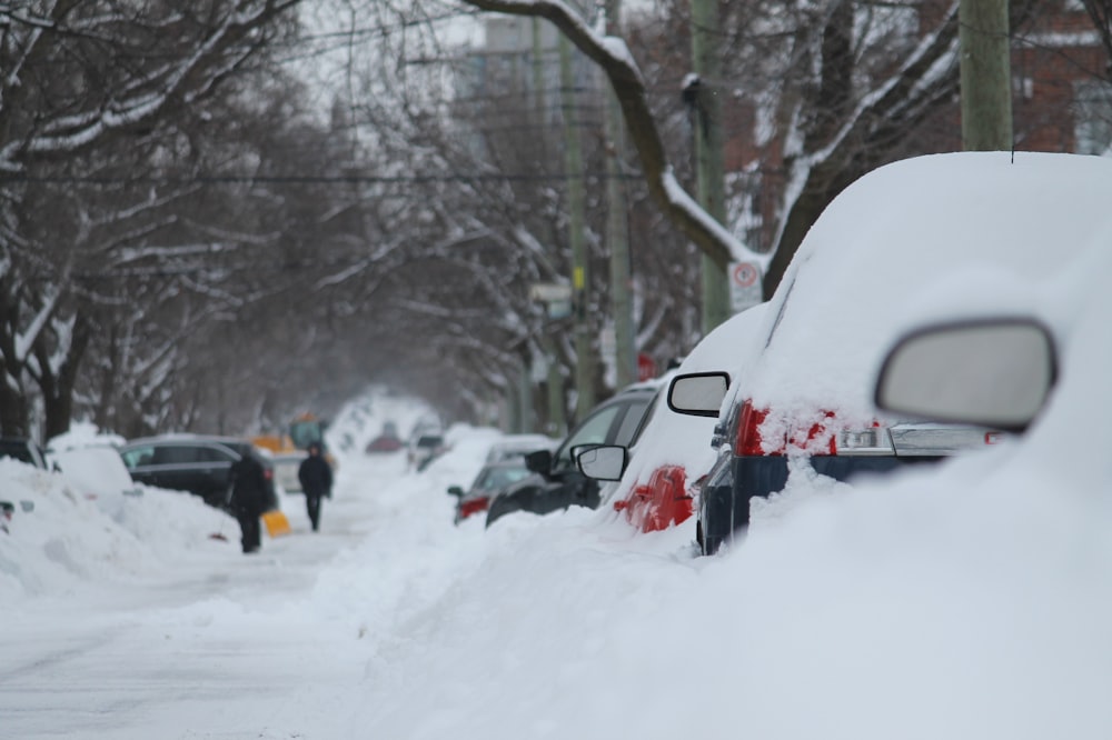 Véhicules recouverts de neige