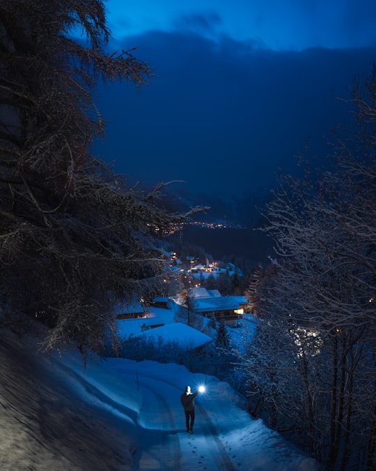 person walking on pathway near trees during winter in Auddes-sur-Riddes Switzerland
