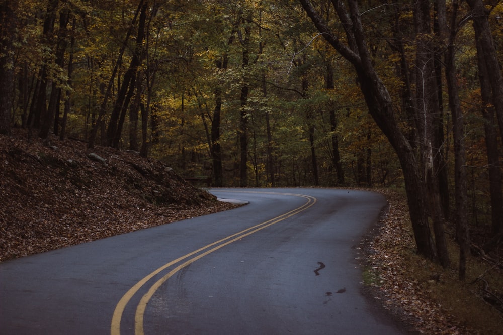 black road path