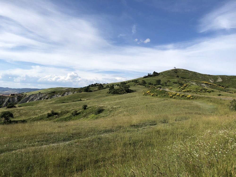 Berge in der Nähe von Bäumen unter weißem Himmel während des Tages