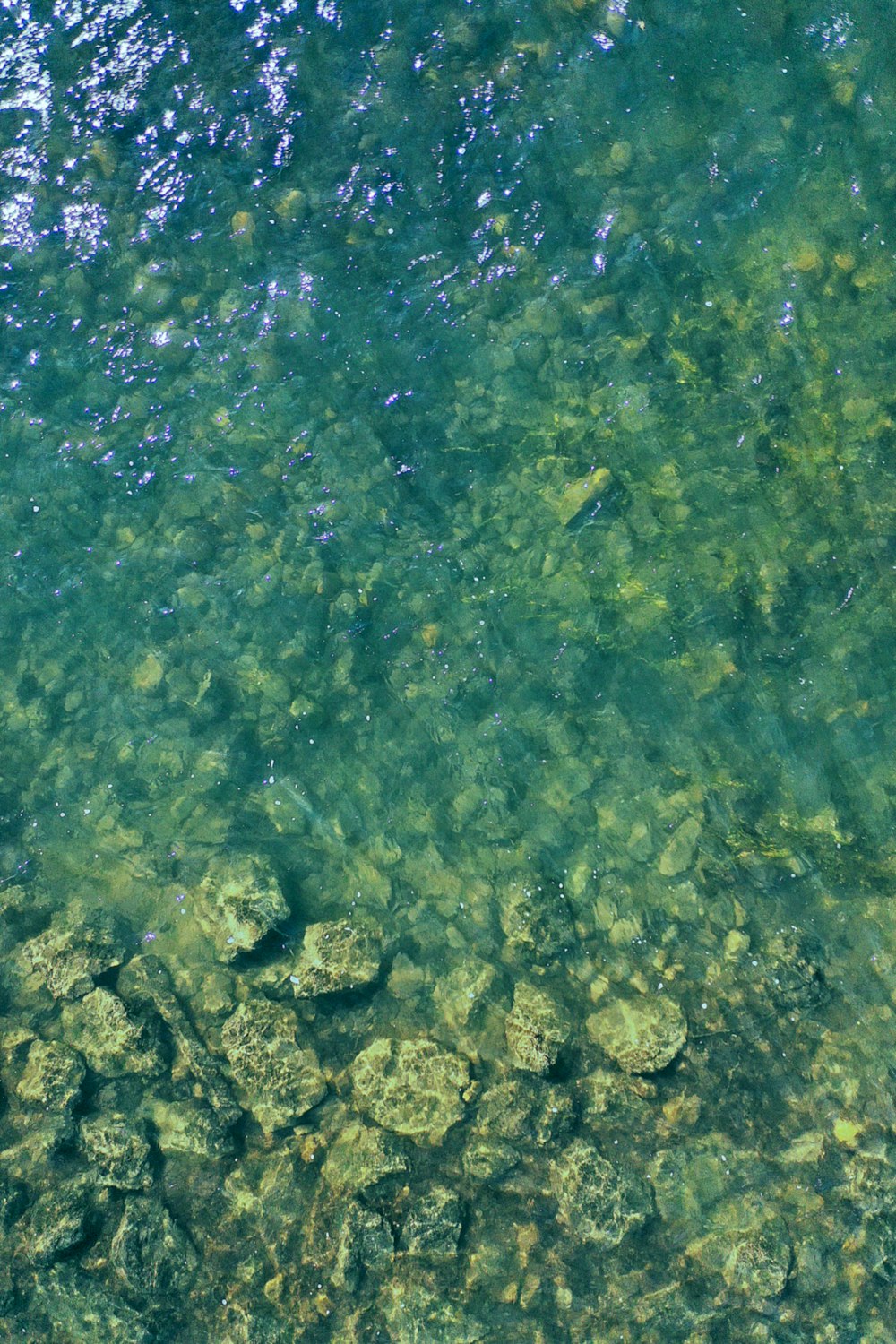 rippling body of water during daytime