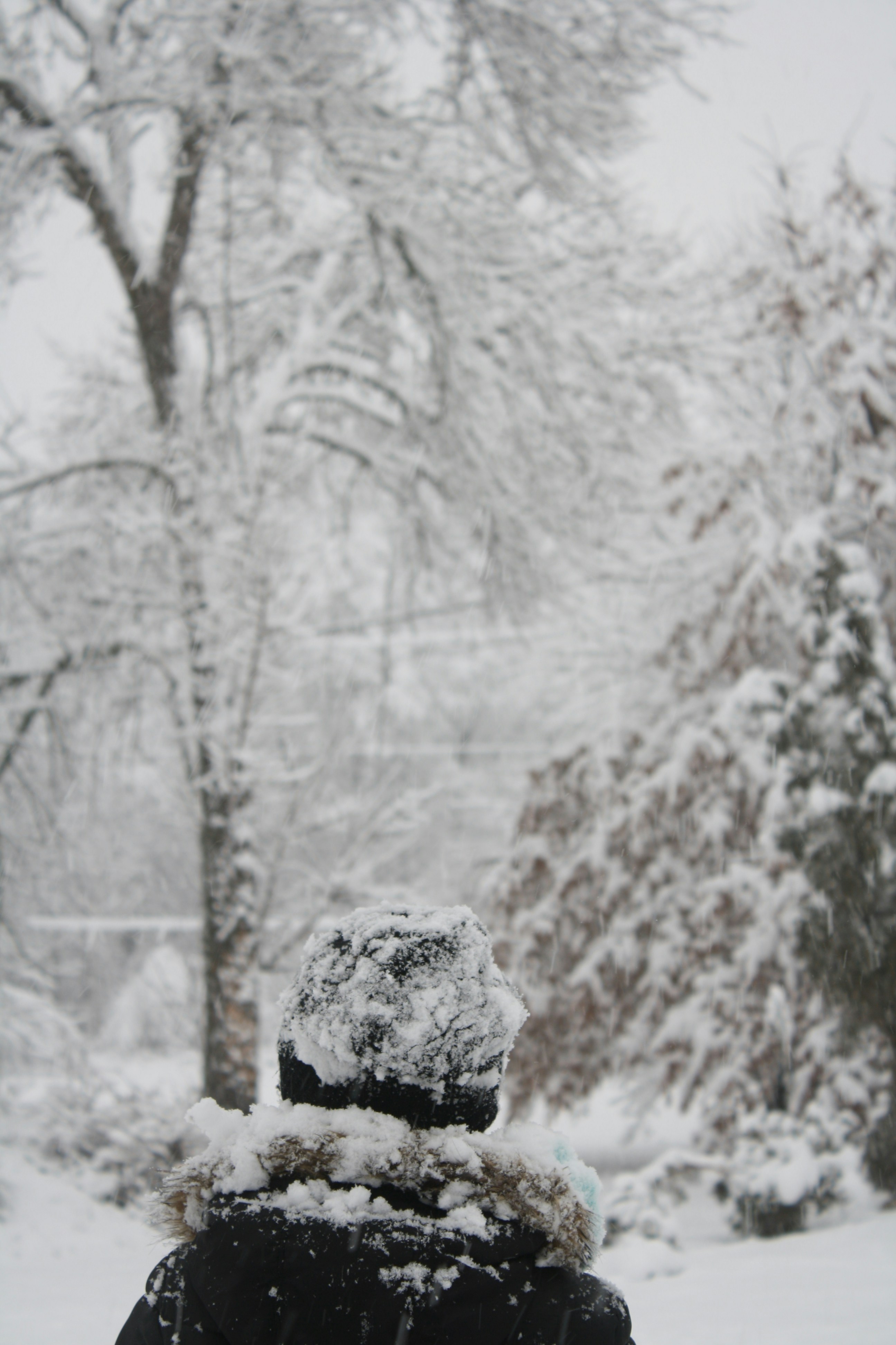 Photo by imagesbykayla