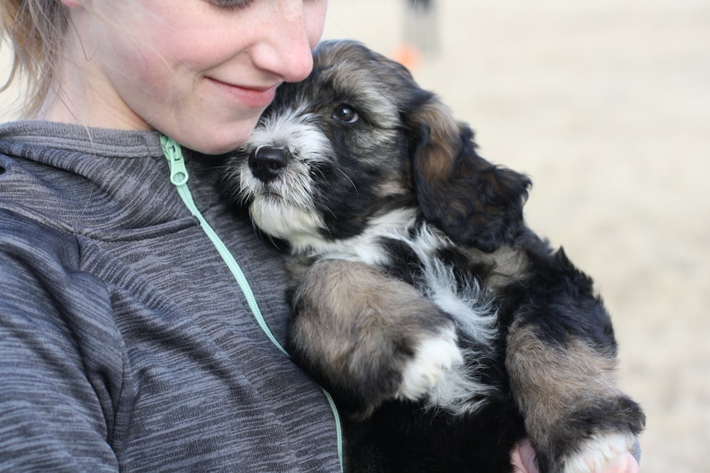 woman holding brown and black puppy