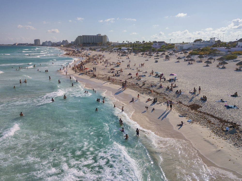 people standing and swimming on ocean at daytime