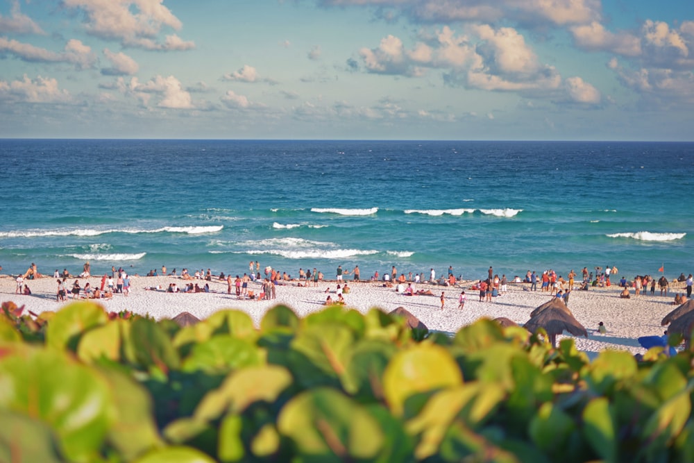 people swimming at beach during daytime