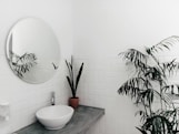 plant beside sink under mirror inside room