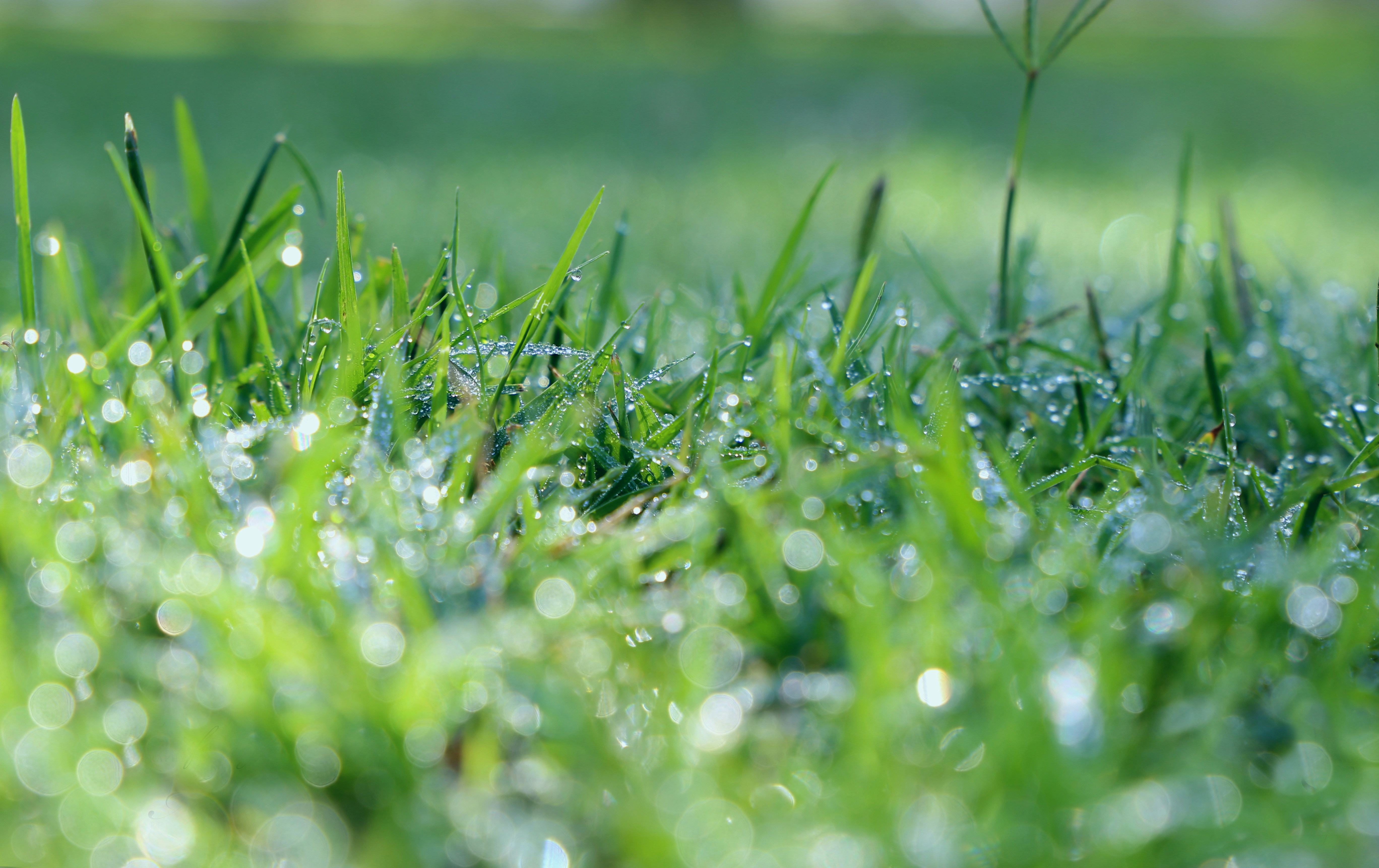 Photo by m_bijanirad