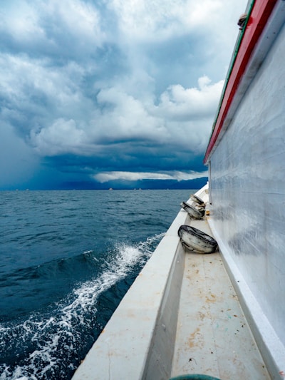 A dramatic photo of a stormy sea with a distressed fishing boat battling towering waves.