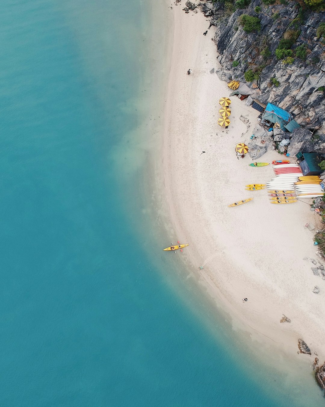 aerial view photo of beach