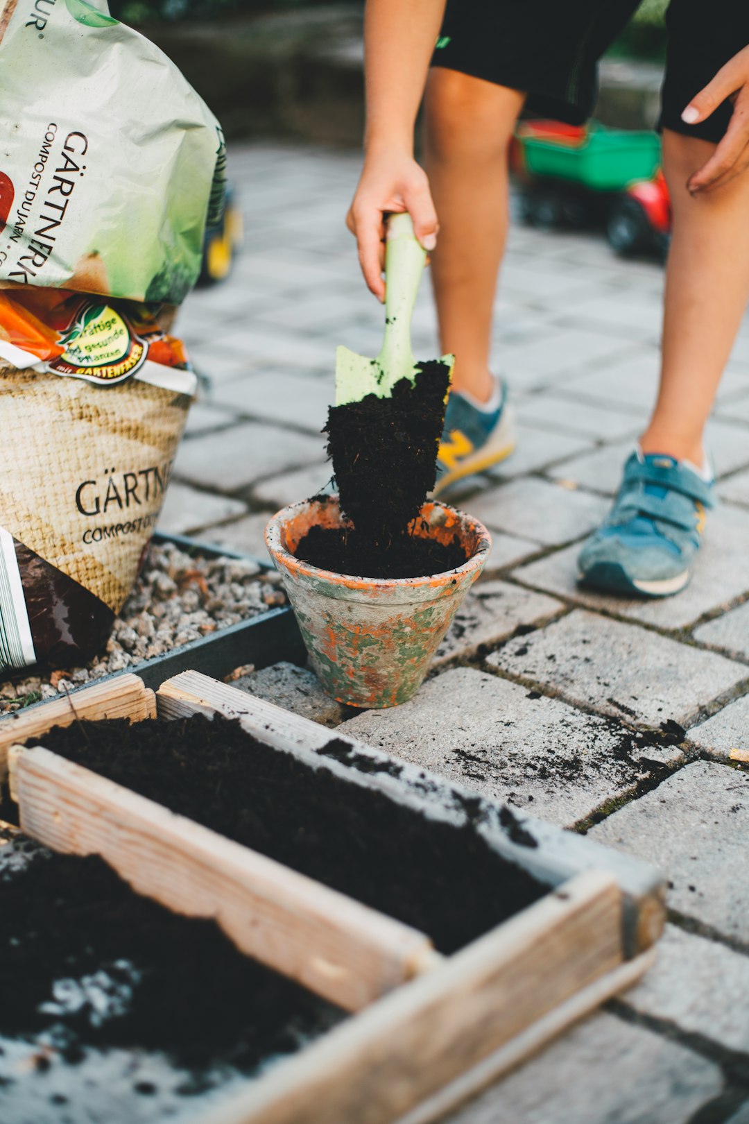 7 Tips For Successful Gardening: A Guide For Beginners