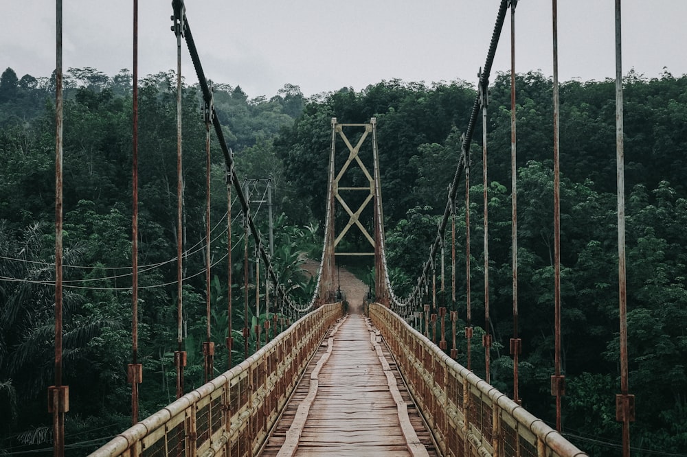 empty foot bridge