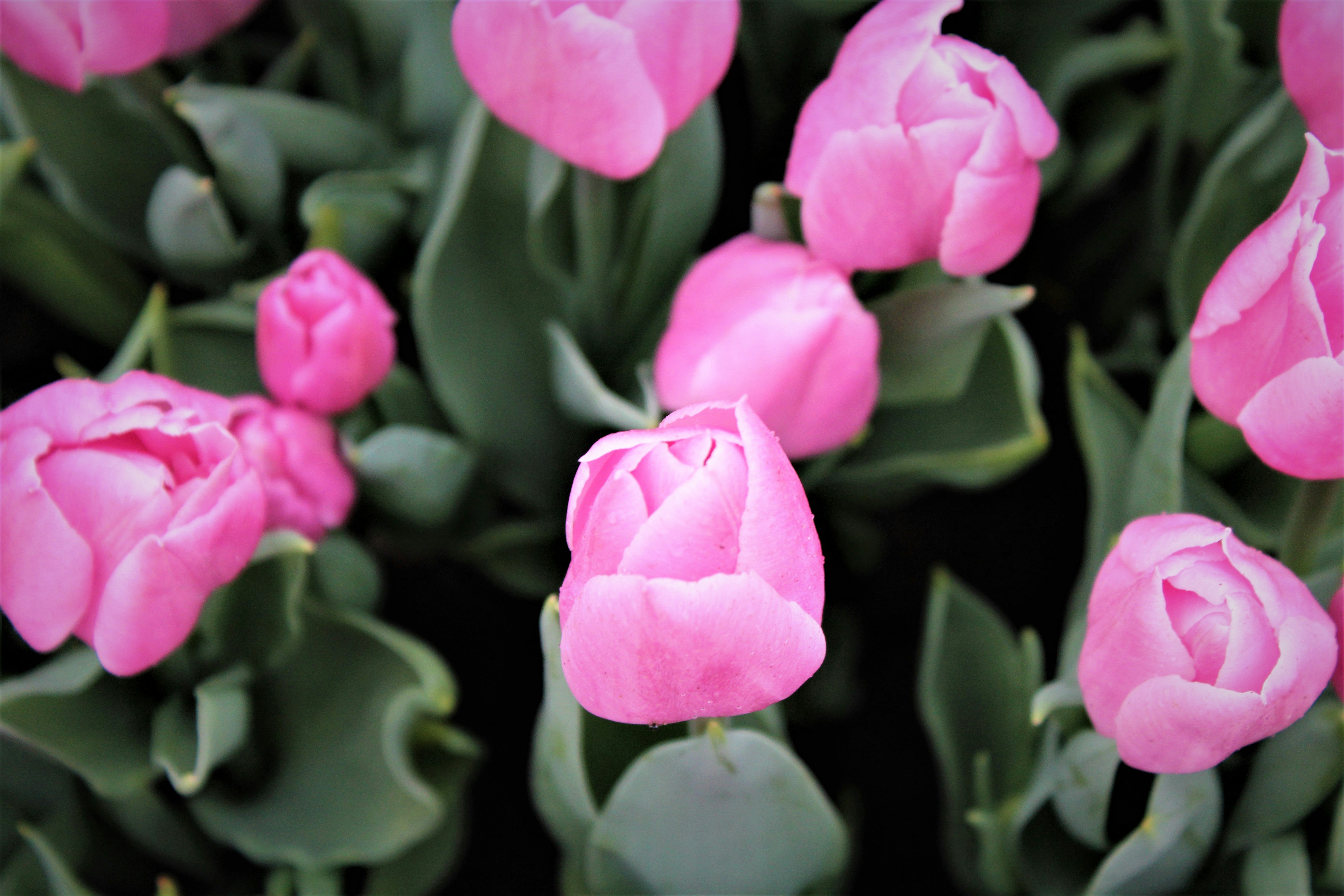 Photo by golden_sunshine