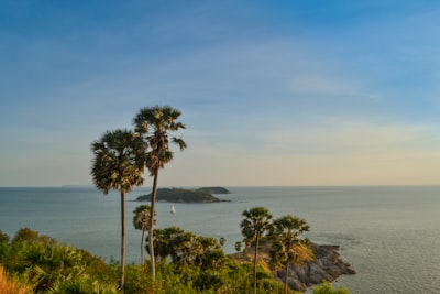 green trees near body of water phuket google meet background