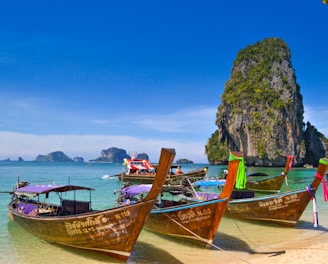 five brown wooden boats