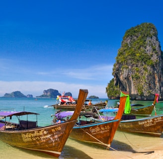 five brown wooden boats