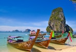five brown wooden boats