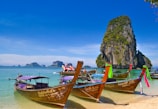five brown wooden boats