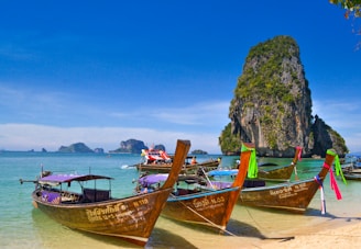 five brown wooden boats