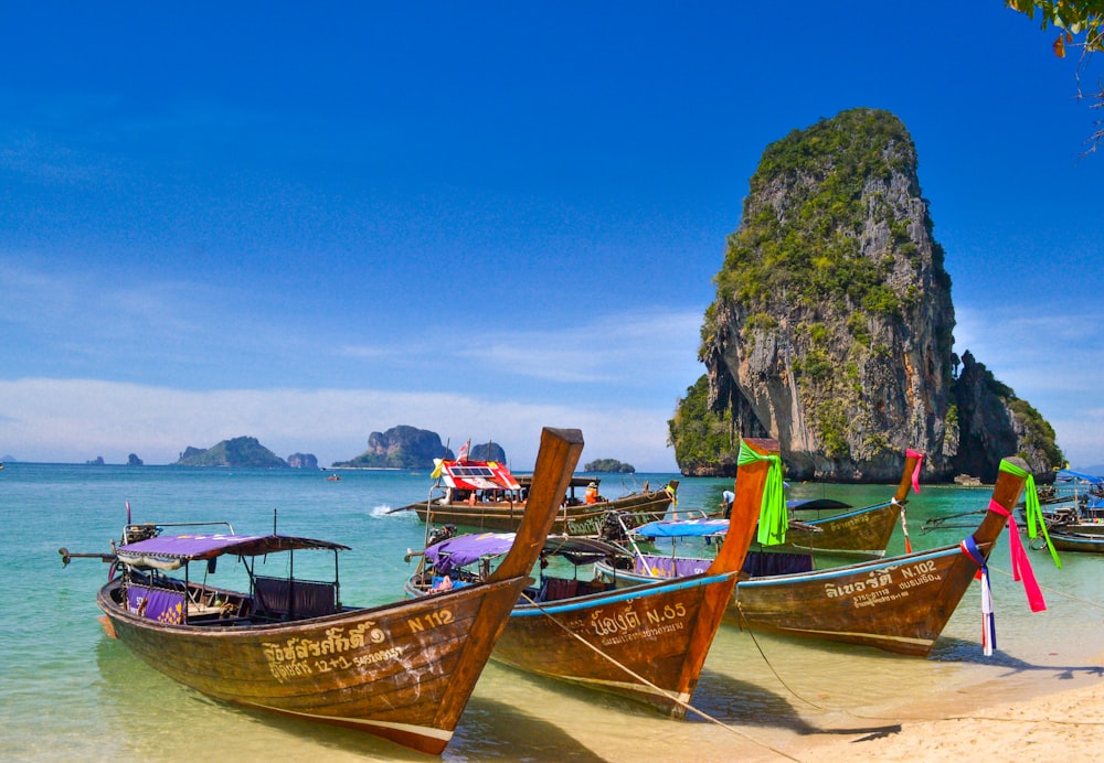 five brown wooden boats