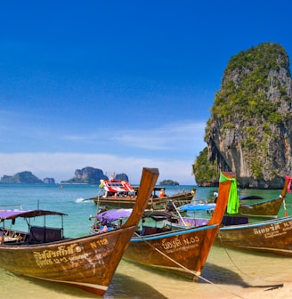 five brown wooden boats