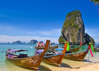 five brown wooden boats