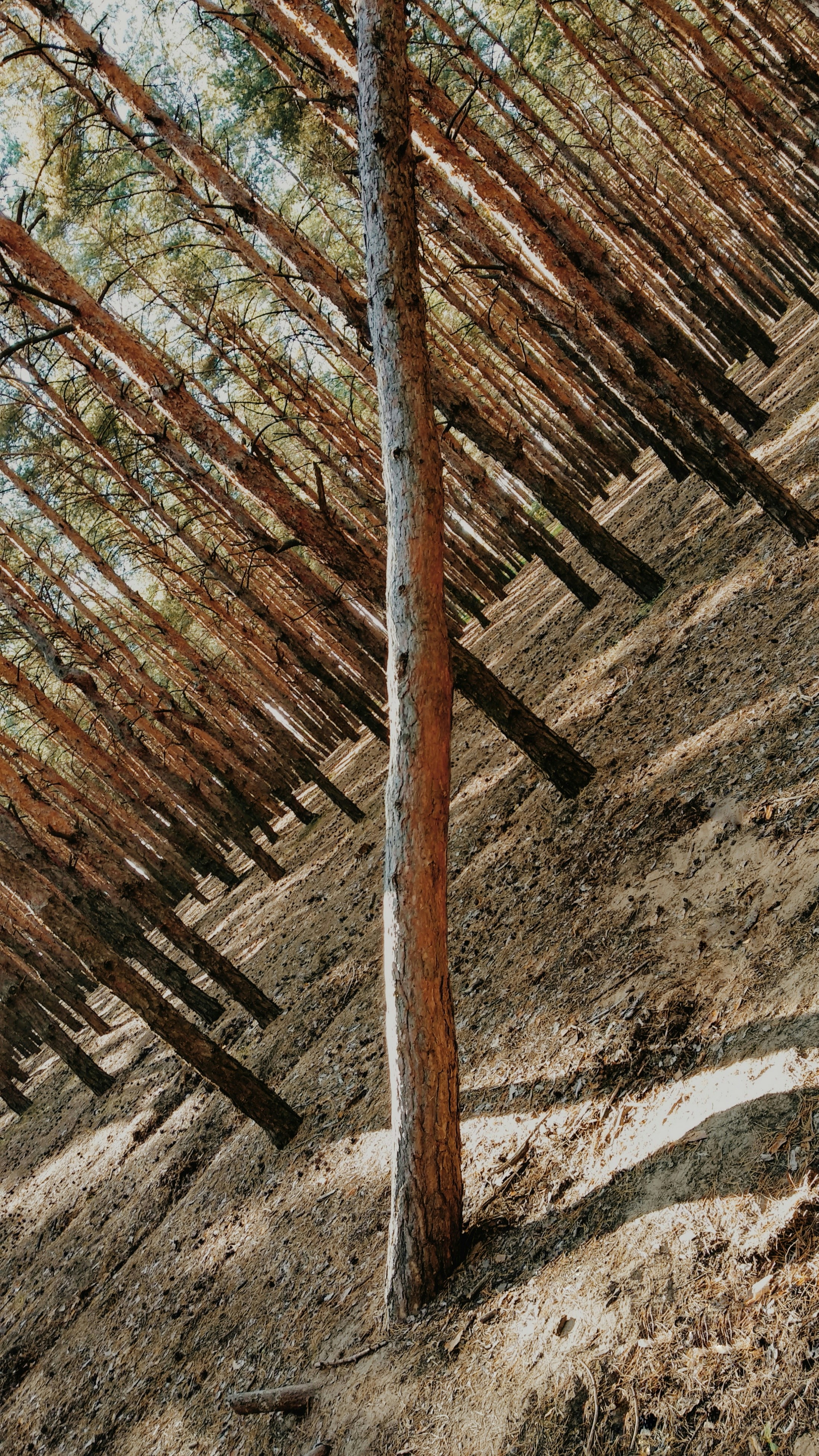 photo 1552466584 2fb7f37f36ca?ixlib=rb 4.0