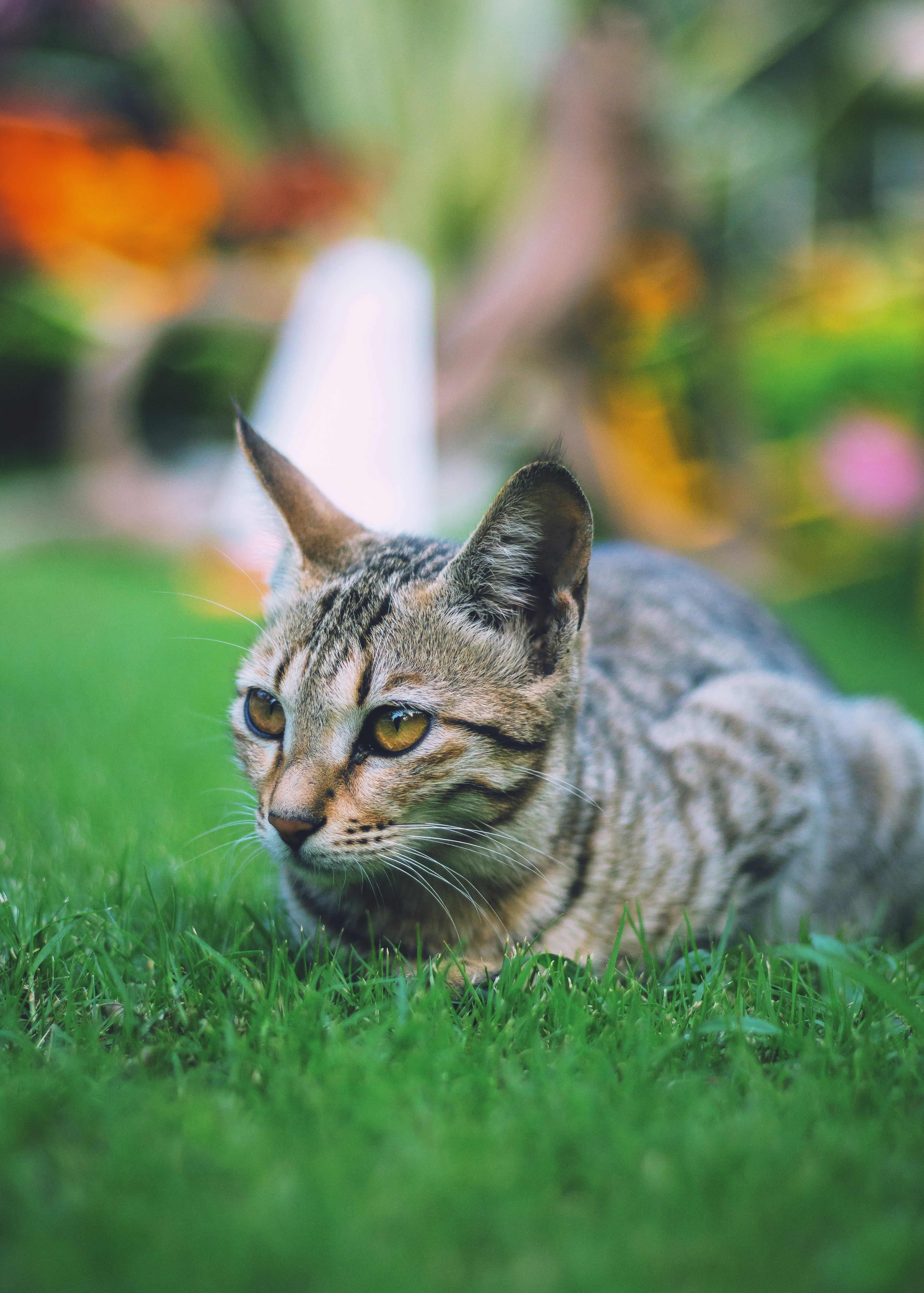 Photo by aniket940518