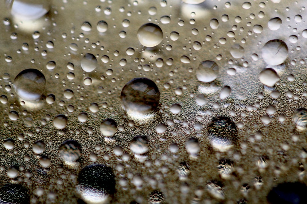 a close up of water droplets on a surface