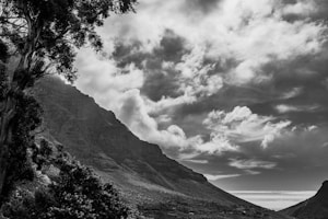 A dramatic black and white landscape photograph depicting a mountainous terrain. Large trees frame the scene on the left, and rugged peaks rise towards a sky filled with textured clouds.