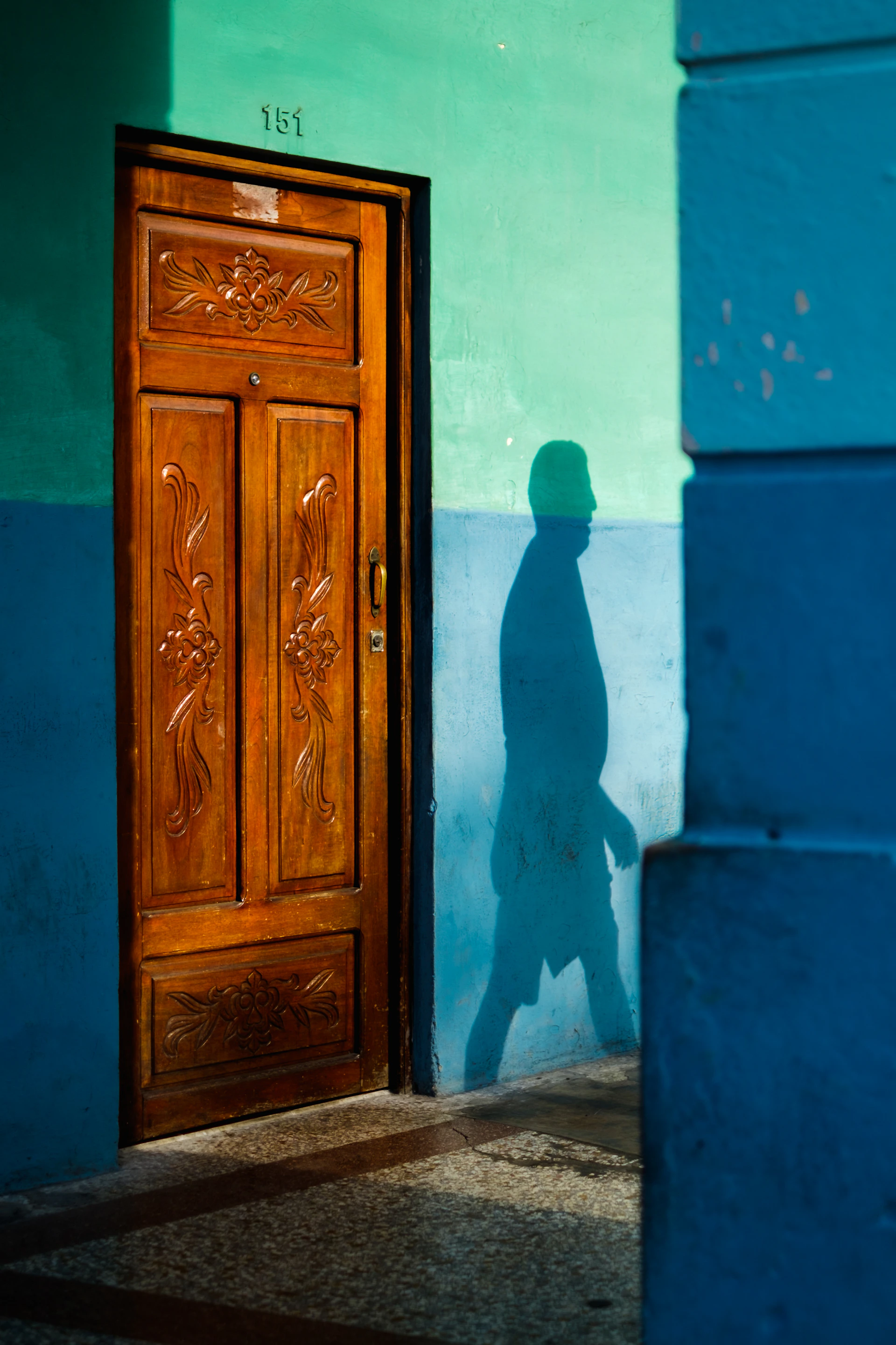 An artistic shot of a wooden door with intricate carvings, highlighted by natural sunlight and colorful surroundings.