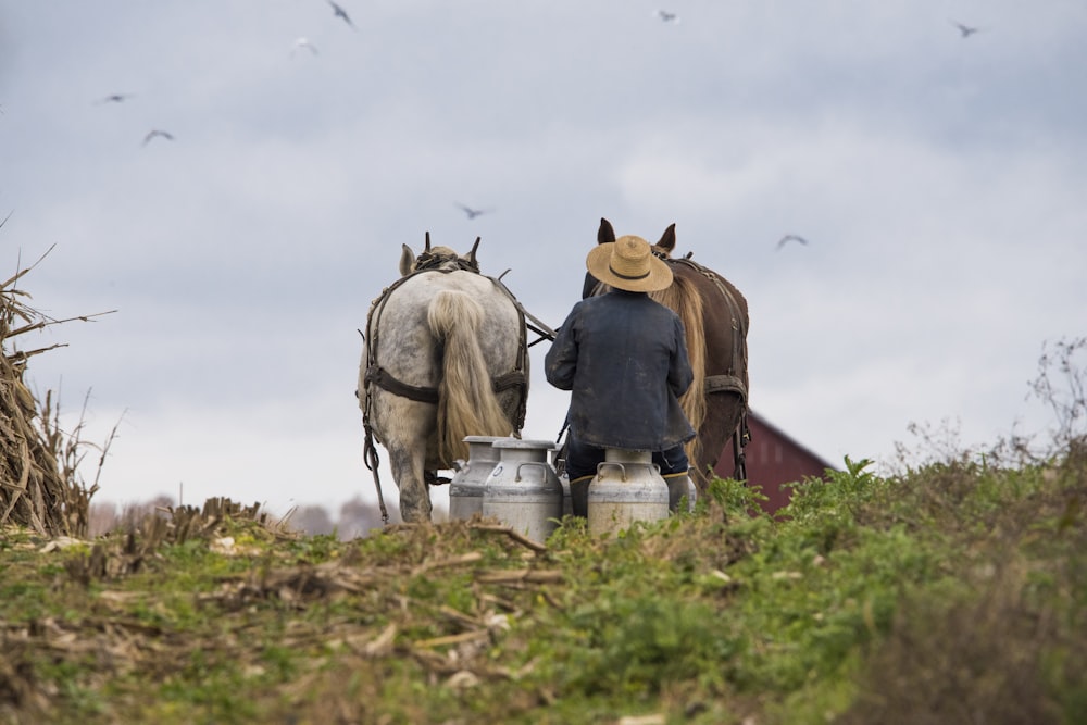 person sitting on milk churn near horses