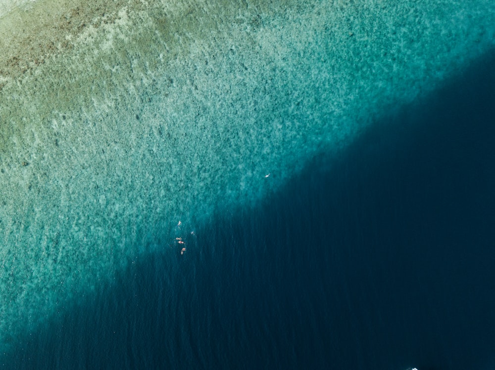 bird's-eye photography of body of water