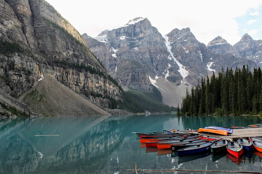 assorted-colored canoe boats