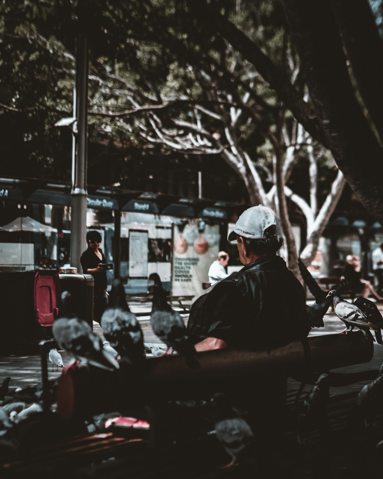 Nikon D5600 + Nikon AF-S DX Nikkor 35mm F1.8G sample photo. Man sitting on bench photography