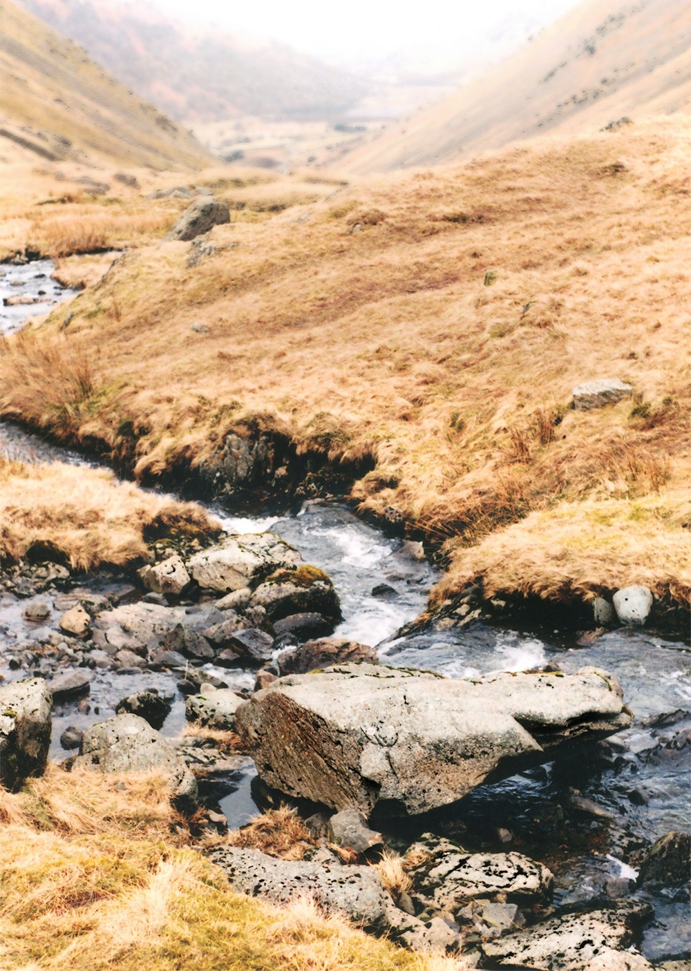 body of water with rocks