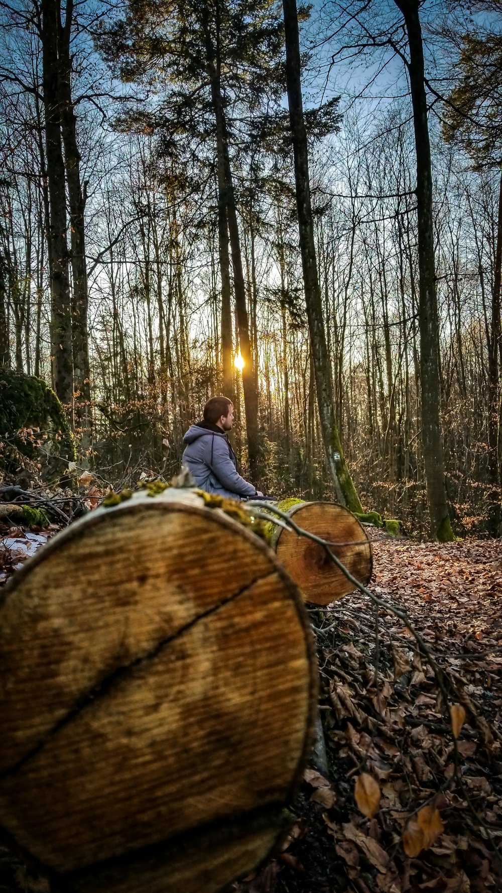 person sitting on brown wood log