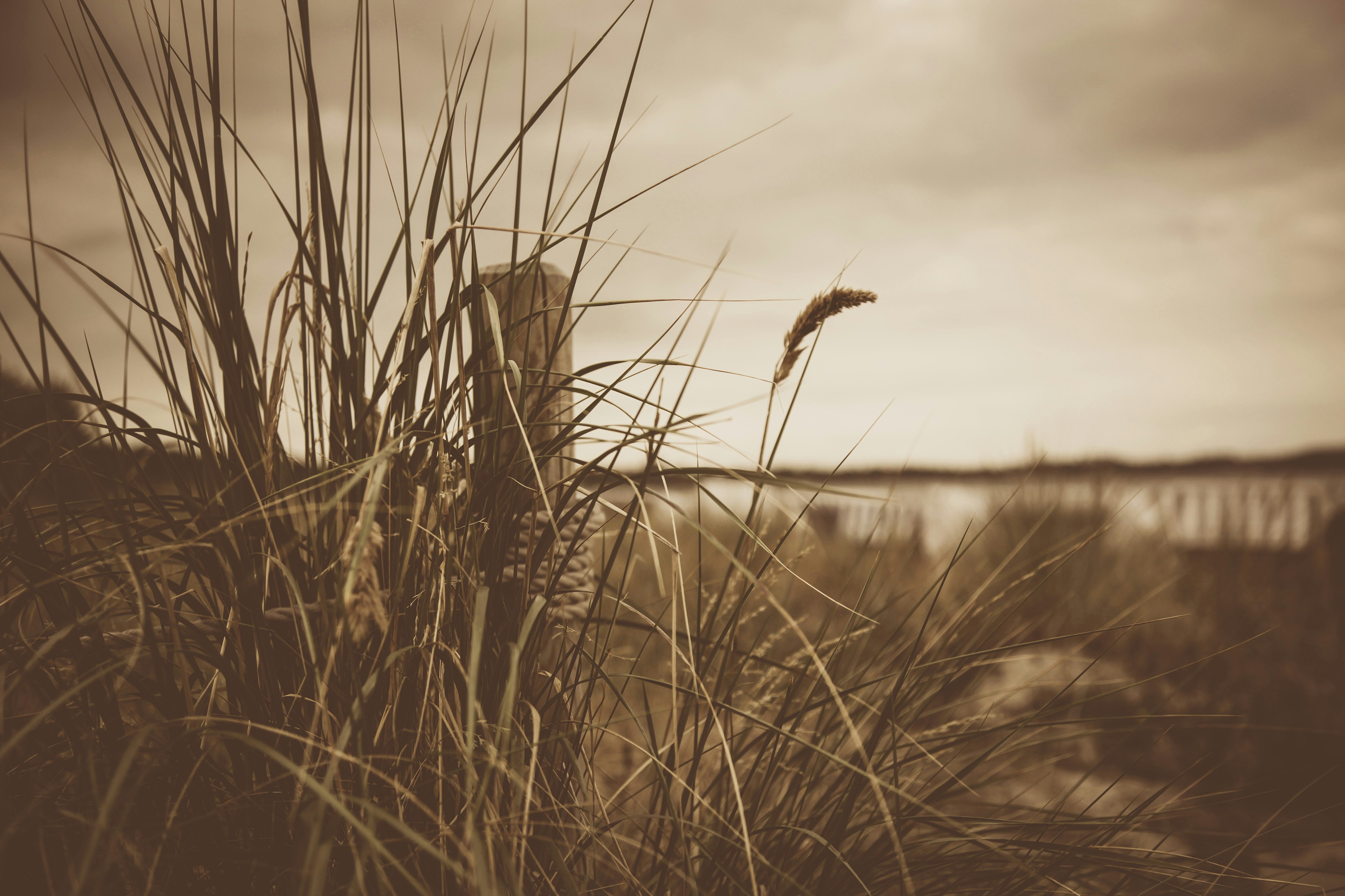 Photo by quadratmedia