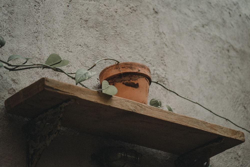 brown pot on rack