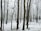 bare trees