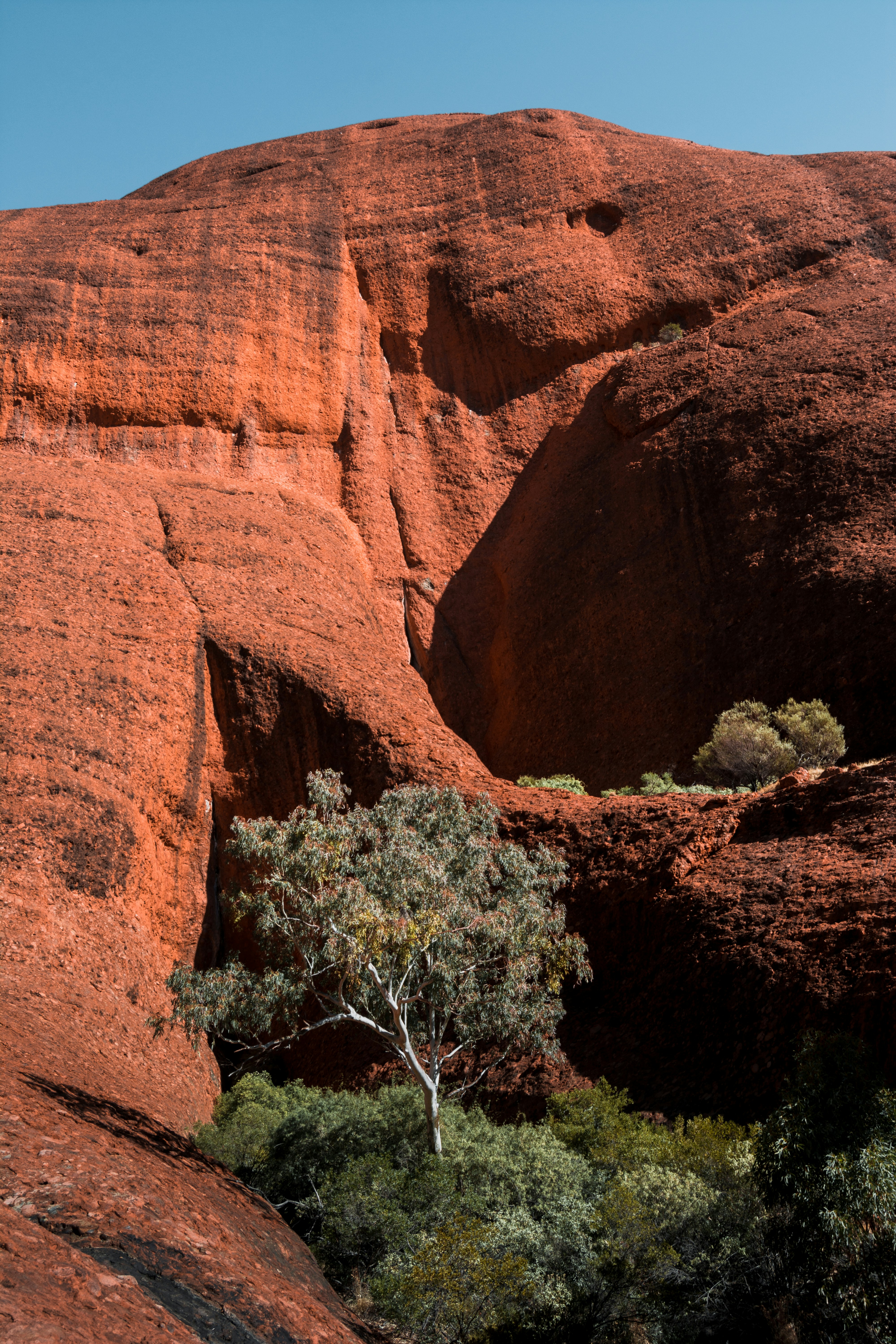 Photo by karljkhedin