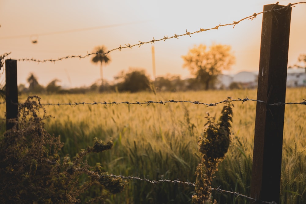 photo of fence during sunny day