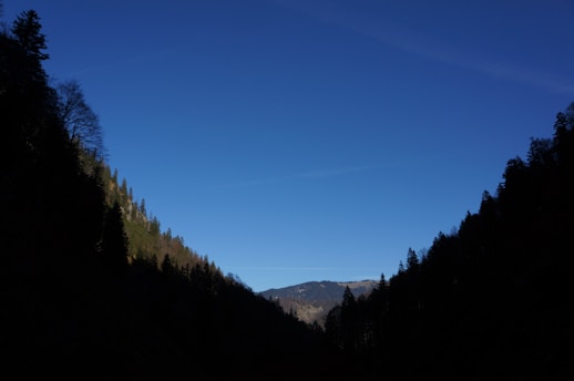 A serene landscape of the Willamette Valley showcasing lush green hills and a clear blue sky.