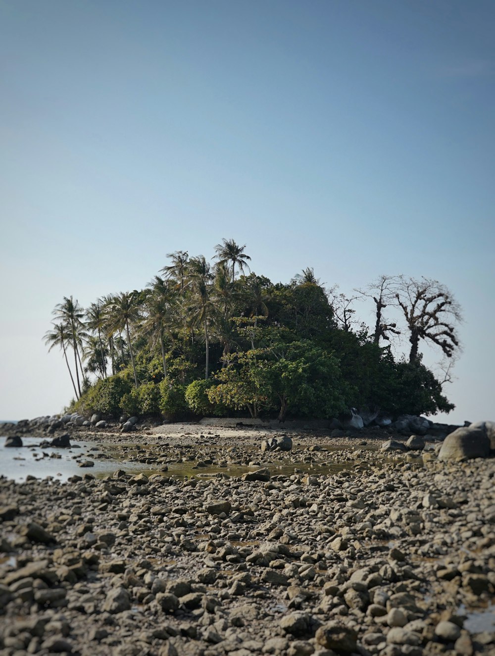 brown and green islet near shoreline